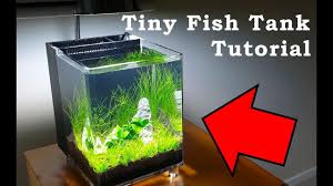 A fish tank and vertical planter. Tiny Fish Tank Tutorial Low Budget Aquarium Build Youtube