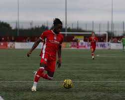 Happy Boxing Day for Swans