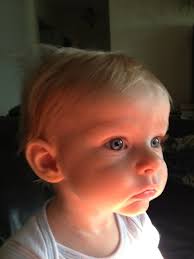 Joel Helm (@joeldhelm)