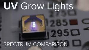 These cannabis plants were grown completely under led grow lights from seed to harvest! Uv Grow Light Spectrum Comparison Youtube