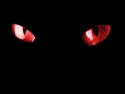 Black And Red Cat Black Cat Red Eyes Wallpaper Eyes Wallpaper Red Cat Black Cat