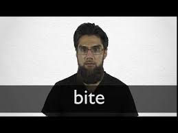 Bite Off More Than You Can Chew Meaning In Hindi Bite Definition And Meaning Collins English Dictionary