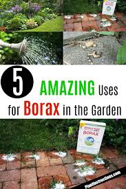 The best time to amend garden soil is when you're first establishing a garden bed. 5 Clever Borax Uses For The Garden Plant Instructions