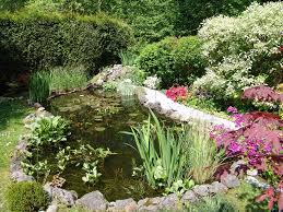 Créer des arceaux de verdure pour bénéficier d'un espace photo souvenir. Comment Creer Son Jardin Aquatique Reflink