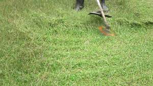 Maybe you would like to learn more about one of these? Cara Memotong Rumput Mudah Dan Cepat 1 Youtube