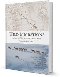 Organized by the US National Committee for the ICA—a committee of the  Cartography and Geographic Information Society