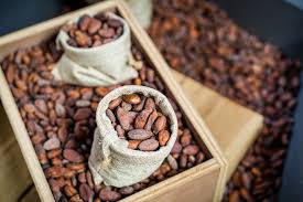 Nestle Cocoa Plan Conoce La Iniciativa En Pro Del Cacao Mexicano