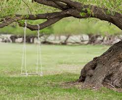 Maybe you would like to learn more about one of these? How To Properly Install A Tree Swing And Avoid Damage To My Tree Davey Blog