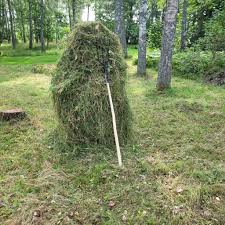 Image result for site:byggahus.se hockeyrink