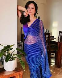 Rukhsar Rehman in sheer blue saree with cleavage baring blouse turns the  heat up - see now. - SpideyPosts