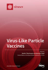 Download a blank covid vaccine card in pdf form. Virus Like Particle Vaccines Mdpi Books