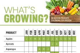 Whats In Season Oregon Produce Calendar Infographic