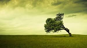 Trends For Background Zedge Wallpaper For Pc Pictures Click on zedge™ wallpapersapplication icon. background zedge wallpaper for pc pictures