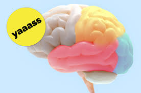 Keep your gut in check with these smart. Pub Night Trivia Quiz