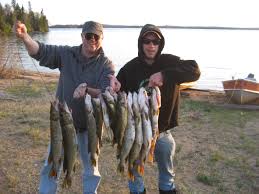 Webopedia is an online dictionary and internet search engine for information technology and computing definitions. Northern Pike Handling Filleting Take The Y Bones Out Wawang Lake Resort