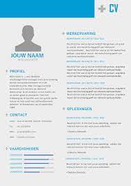 Multifuctionele Cv Inclusief Portfolio Pagina Ook Ideaal Voor Een Zzp Ers
