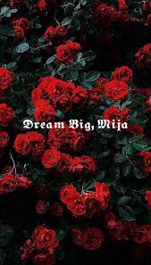 Dream Big Wallpaper Romantic Comedy Movies Wallpaper Romance Movies