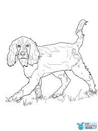 A special collection of beautiful and relaxing dog portrait coloring pages to color dog breeds include: Dog Coloring Pages Cocker Spaniel
