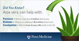 Remembering account, browser, and regional preferences. Aloe Vera Not Just For Sunburns Penn Medicine