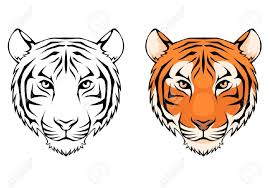 Line Illustration Of A Tiger Head Sponsored Illustration Line Head Tiger Tatuagens Brancas Tigre Desenho Tigres