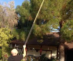 Check spelling or type a new query. Christmas Lights Installer Pole 3 Steps Instructables