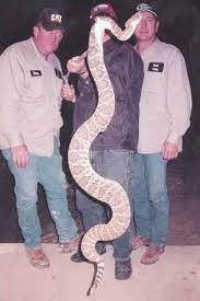 Clay County Snake West Virginia History West Virginia West Virginia Mountains