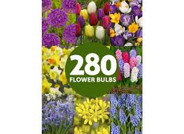 Maybe you would like to learn more about one of these? Buy The Complete Spring Flowering Bulbs Collection Bulbi Nl