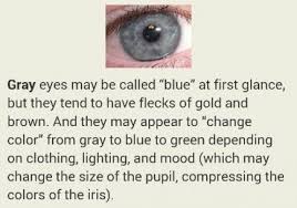 57 Trendy Eye Color Facts Grey Eye Facts Eye Color Facts Blue Eye Quotes