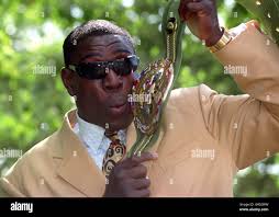 Wbc world champion oliver mccall hi-res stock photography and images