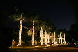 Palm tree wrapped in christmas lights. Wrapping Palm Trees In Miniature White Lights Make A Stunning Statement Coastal Holiday Florida Christmas Holiday Lights