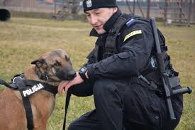 Policja Suwałki: Policyjny pies wytropił włamywacza - SuwalkiNews