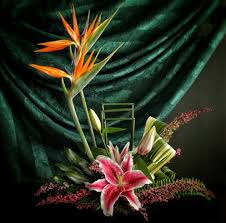 You can look at the address on the map. Felly S Flowers 5602 University Ave Madison Wi Florists Mapquest