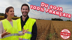 Pour lutter contre le sclrotinia, maladie numro un du soja une culture adapte la production biologique. A La Decouverte De La Culture Du Soja En France Le Stockage 8 9 13 Youtube