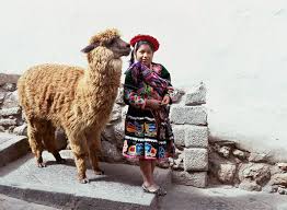 Llama Best Friend Style Inspiration Inca Barn Animals Inca Empire