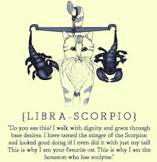 Their love for one another is more of a mutual respect rather than romantic passion. Ideas Of Beauty October 22 Libra Scorpio Cusp You Should Embrace