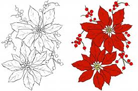 ✓ free for commercial use ✓ high quality images. Poinsettia Flower Coloring Page Free Stock Photo Public Domain Pictures