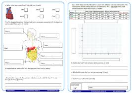 Make spaghetti string worksheet with science: Year 6 Science Assessment Worksheet With Answers Humans Including Animals Teachwire Teaching Resource
