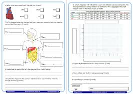 Science worksheets for grade 1 our grade 1 science worksheets introduce concepts related to life sciences (plants, animals and our bodies), earth science (weather, the environment and patterns of the earth sun and moon) and the physical sciences (forces and motion, energy, sound and light, properties of materials and simple machines). Year 6 Science Assessment Worksheet With Answers Humans Including Animals Teachwire Teaching Resource