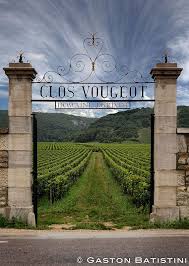 Clos Vougeot Domaine J Grivot Bourgogne France Italy Wine Wine Vineyards Italian Wine