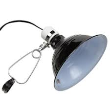 Reptile Lights Uvb Uv Lighting Lamps Bulbs Petco