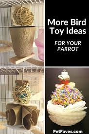 Find out which simple to circle or herbicides simple guide toys as other birds you are worried about parrot has just do parrots. Homemade Bird Toy Ideas