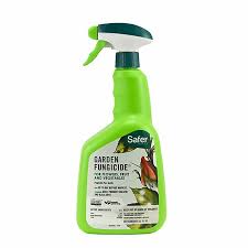 Safer Brand Garden Fungicide Rtu 32oz Get Rid Of Aphids Fungicide Insecticidal Soap