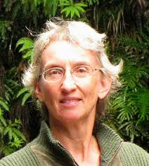 The Writing Life: Braver Than You Know, a journey into fiction