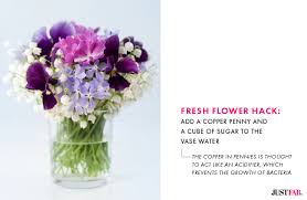 Check spelling or type a new query. 5 Hacks To Keep Your Mother S Day Flowers Fresh