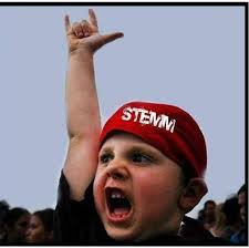 Stemm Concert & Tour History