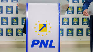 Sunt personae care ameninta ca merg la referendum si voteaza nu. Pnl A Stabilit Cine Va Candida Pe Lista Pentru Diaspora La Alegerile Parlamentare Cand Vor AnunÈ›a Liberalii ToÈ›i CandidaÈ›ii
