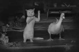 Share the best gifs now >>> Humour Page 527 Gifs Gratuits Pjc