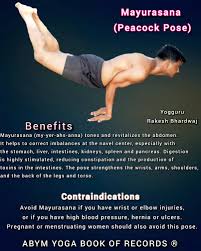 Yoga poses for stomach ulcers. Yoga World Book Ywb The Health Benefits Of Mayurasana Peacock Pose In The Yogic Lore The Mayur Peacock Is The Symbol Of Love Immortality Beauty And Strength And The Practice Of