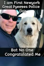 Look what i found 😯 can't wait to hear your feedbacks 🥰