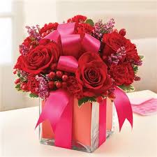We did not find results for: 1 800 Flowers All Wrapped Up Red Carle Place Ny